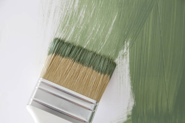 Best Commercial Mold Inspection  in Paola, KS