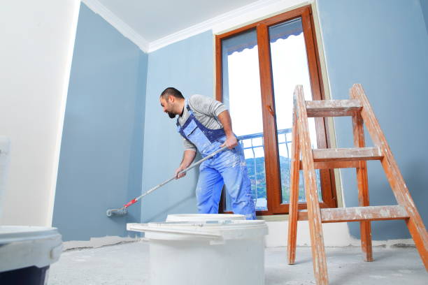 Biohazard Mold Removal in Paola, KS