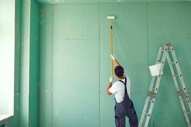 Best Basement Mold Removal  in Paola, KS