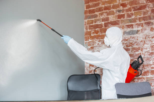 Best Asbestos and Lead Testing During Mold Inspection  in Paola, KS