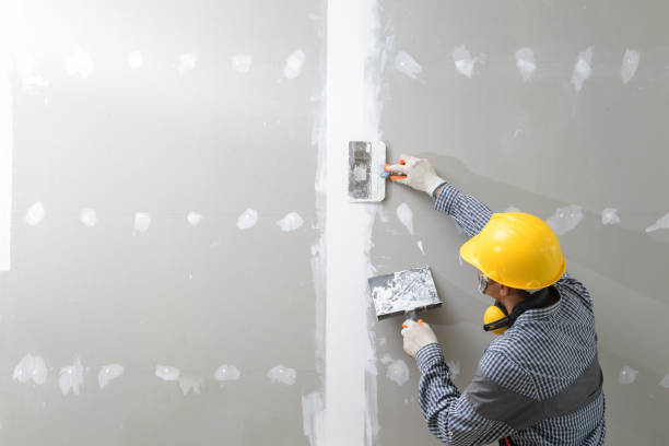 Best Attic Mold Removal  in Paola, KS