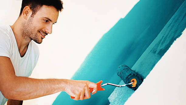 Best Mold Remediation for Healthcare Facilities  in Paola, KS