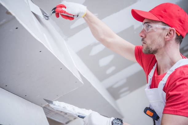 Best Emergency Mold Remediation  in Paola, KS